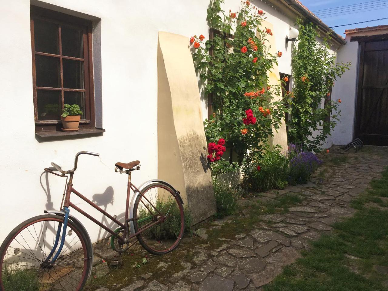Habansky Dum Hotel Dolni Vestonice Exterior photo
